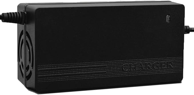 GOZAR 48V 2.5 A 20Ah Lithium Lifepo4 Batterieladegerät Für E-Bike Scooter Electric Bike